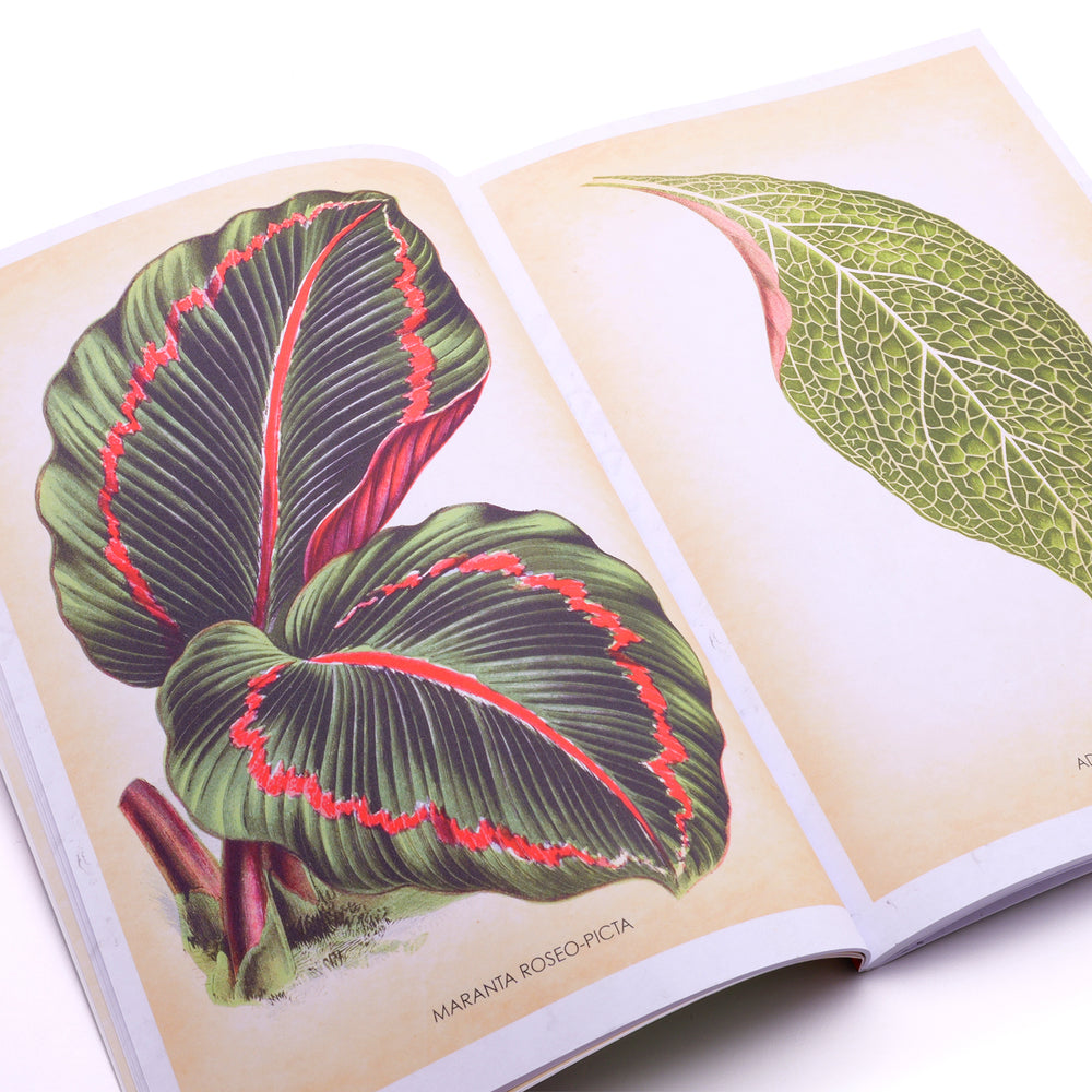 BOOK | Les Plantes Eikon Device Tattoo Supplies